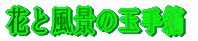 Ԃƕi̋ʎ蔠