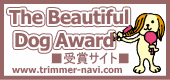 The Beautiful Dog Award 