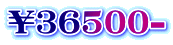 \36500-