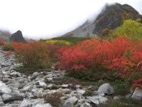 しし岩