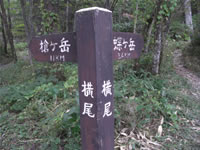 横尾