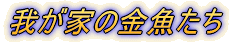 䂪Ƃ̋