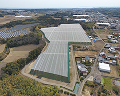 津市高野尾町清水地区キウイ樹園地　ネット建設工事