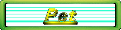 Pet