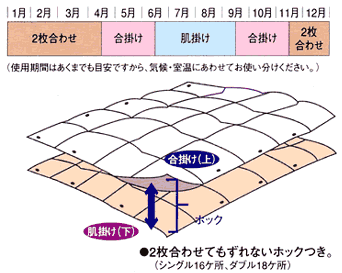 �g�p����