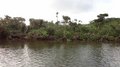 20120214011_980_