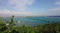 20120213067_980_