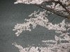 20120413047