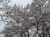 20120413045