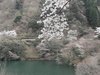 20120413067