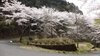 20120413026