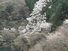 20120413066