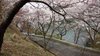 20120413020