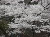 20120413049