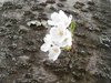 20120413063