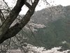 20120413044