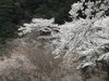 20120413064