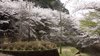 20120413028
