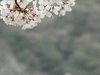 20120413050