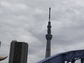 スカイツリー