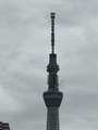 スカイツリー