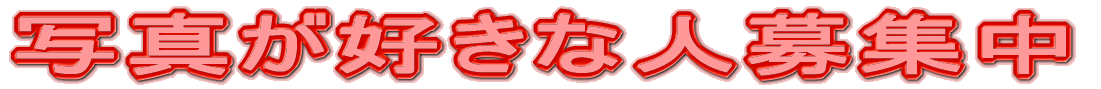 写真が好きな人募集中