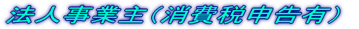 法人事業主（消費税申告有） 
