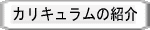 curriculum