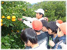 市川茂昭さん