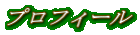�v���t�B�[��