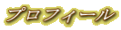 �v���t�B�[��