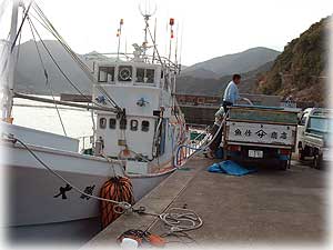 海水をトラックに移す