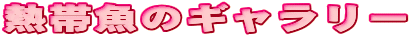 Mы̃M[