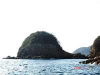楯ヶ崎 東側