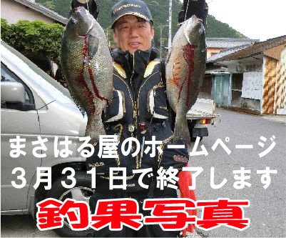 �މʎʐ^