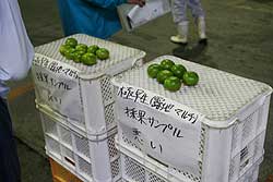 採果サンプル