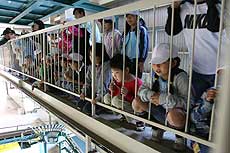小学生