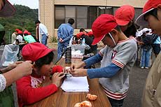 糖度の計り方