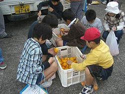 お土産