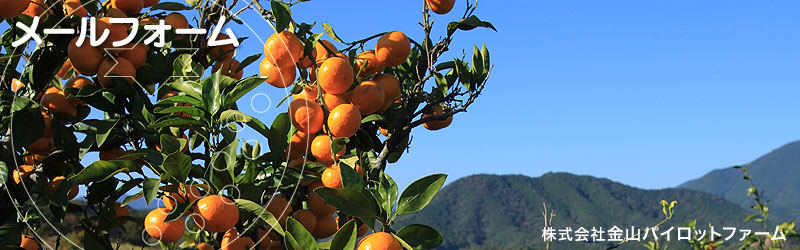 �݂�����