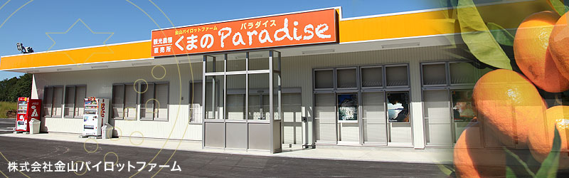 �ό��_���E���������܂̃p���_�C�X