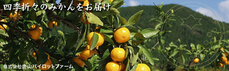 �l�G�܁X�݂̂�������͂�