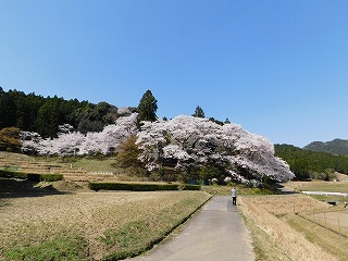 芸濃名所めぐり